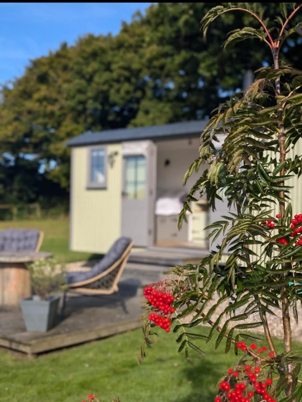 Tolverne Luxury Shepherd'S Hut Villa Holsworthy Exteriör bild